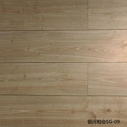 銀河相會sg 09 盼盼地板