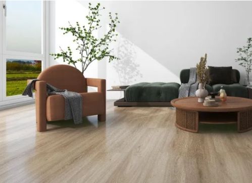 揚子地板廠家地址 生產基地與產品體系詳解