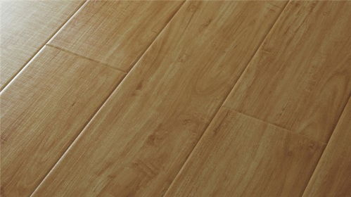 專利硅藻泥地板 鴻之偉業(yè)，勇于攀登的保定地板新篇章